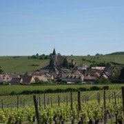 Hunawihr, route des vins d'Alsace en région Grand Est