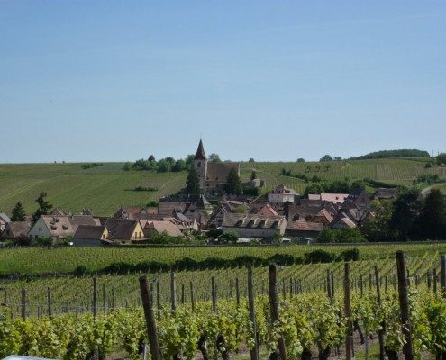 Hunawihr, route des vins d'Alsace en région Grand Est