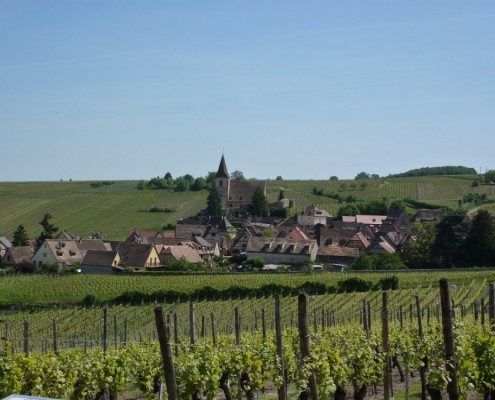 Hunawihr, route des vins d'Alsace en région Grand Est