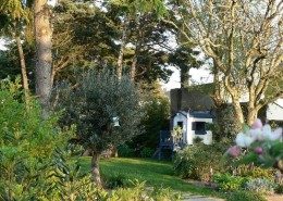 Les Glycines, Billiers (Morbihan) : jardin