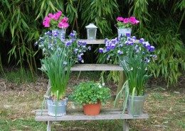 Le Clos Lascazes, chambres d'hôtes Paleyrac (Dordogne) : jardin