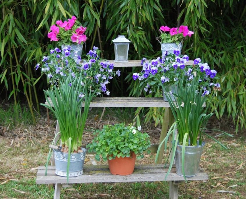 Le Clos Lascazes, chambres d'hôtes Paleyrac (Dordogne) : jardin