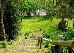 Saint Victor La Grand’Maison, Ingrandes : parc
