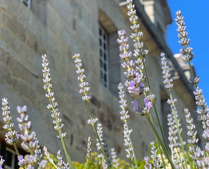 La façade du Manoir de l’Isle, Ploumilliau, Côtes-d’Armor, Bretagne