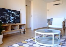 Location appartement de vacances à Saint Mandrier-sur-Mer dans le Var, à 5 minutes de la plage : salon TV