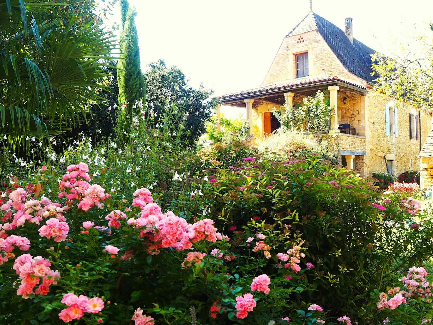 Fleurs du jardin et vue de La Lysiane, chambres d'hôtes de charme en Occitanie