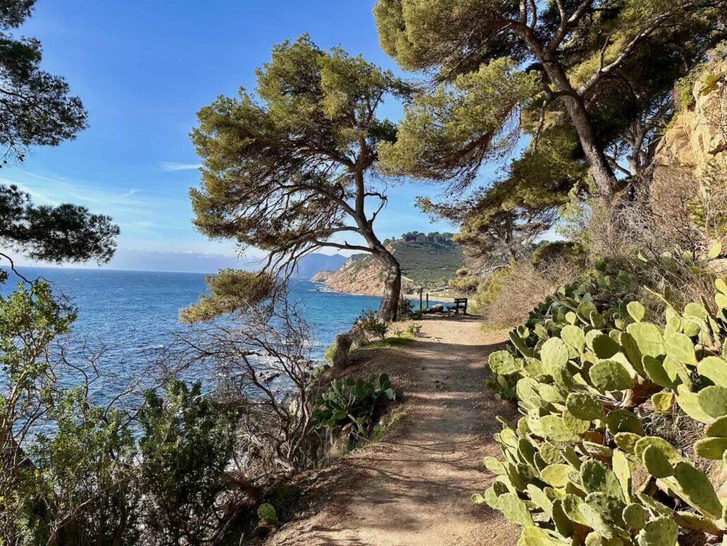 Balade sur le sentier du littoral de Saint Mandrier, entre les plages de la Coudoulière et de Cavalas (photo de Jl Matau)